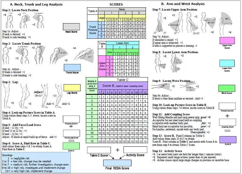 REBA worksheet